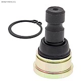 ����'���� ���� ������� �- RZR  1000 ����� ����