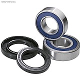 ������- All Balls 25-1565 -Can-Am DS 450 10-13