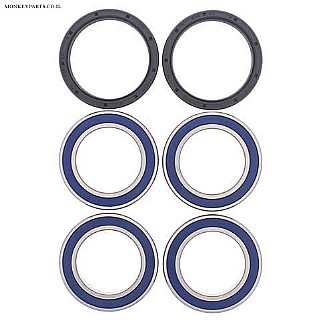 ������- All Balls 25-1565 -Can-Am DS 450 10-13