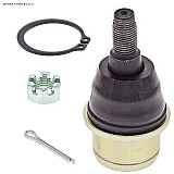 ����'���� ���� ������� �- Renegade 800 