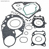 �� ����� ���  gasket ) ARCTIC CAT Cat 500)
