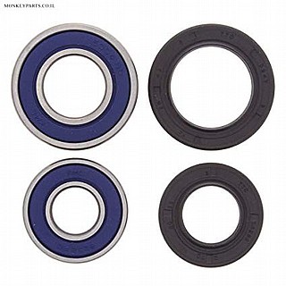 ����� ���� ����� �-DVX 300