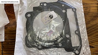��� ��� ���� DS450 N ��� 420650210
