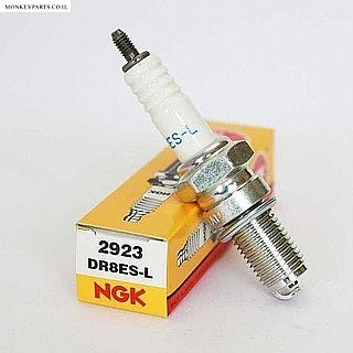 DR8ES-L - ���� NGK