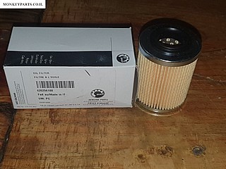 ���� ��� ����� BRP - ���� 420256188