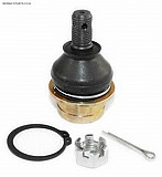 ���� ����� �� ���� EPI - ���� WE351019 (��������\������\������)