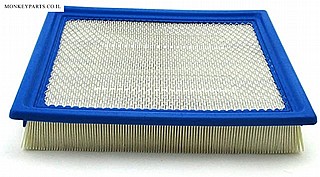 ���� ����� ����� ������ 900 ��� ��  -  Air Filter RZR 900 XP
