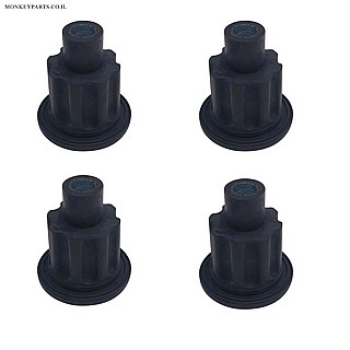 ������ ���� CAN AM ����� � 4 ��