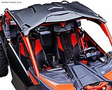 �� ������ ���� � CAN AM X3