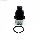 ���� ����� ����� ������ (Traxter)