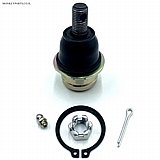 ���� ����� ����� ������ ��� ������ (Traxter)