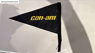 ��� CAN AM ���� ����