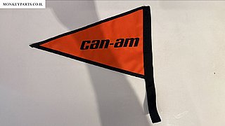 ��� CAN AM ���� ����