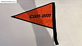 ��� CAN AM ���� ����