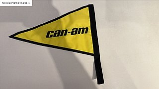 ��� CAN AM ���� ����