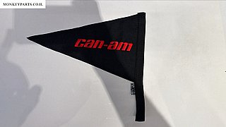 ��� CAN AM ���� ����