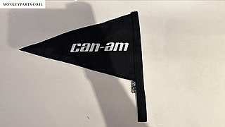 ��� CAN AM ���� ���