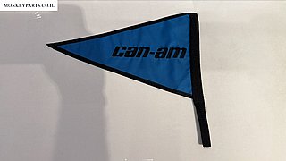 ��� CAN AM ���� ����