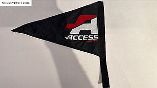 ��� ACCESS ���� ���