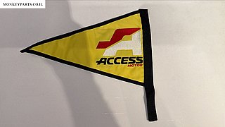 ��� ACCESS ���� ����