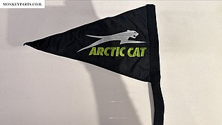 ��� ARCTIC CAT ���� ����