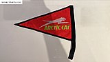 ��� ARCTIC CAT ���� ����