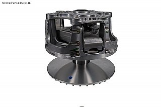 �������� RZR PRO