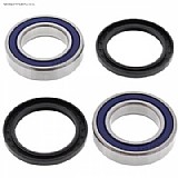 ����� ��� ����� 25-1331 All Balls Arctic Cat 400 DVX 04-08