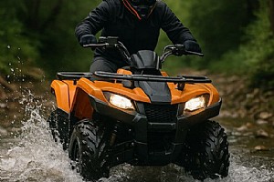 ��� ������ ���� ���